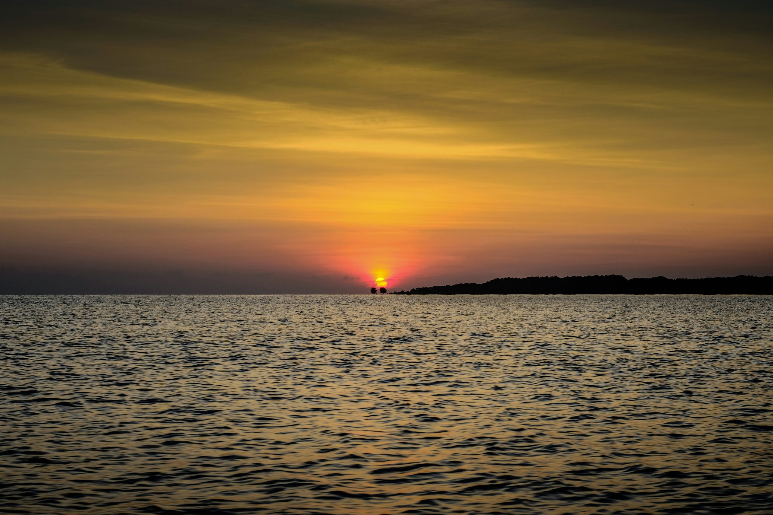 Menjangan island